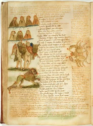 Ms Ital 483 P.4.7 f.156v Gêmeos, Leão e Câncer, do 