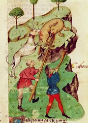 Ms Lat 993 fol.35r The Hunt, de 