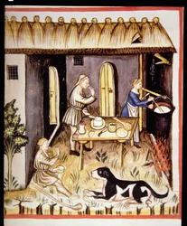 Nova 2644 fol.62r Preparação de queijo branco, de Tacuinum Sanitatis