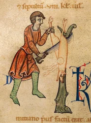 Novembro, Porco do talho, Miniatura de Martyrology de Adonis, Itália
