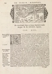 Histórico Na página 742 do gentive do Norte por Magnus Olaus, Roma 1565 (impressão e gravura)