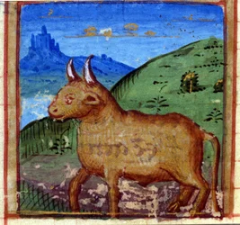 Sinal do touro. Horóscopo italiano, meados do século XV.