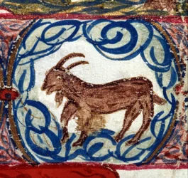 Sinal do capricórnio. Horóscopo italiano datado de meados do século XV.