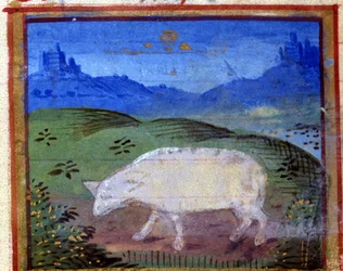 Sinal do carneiro. Horóscopo italiano, meados do século XV.