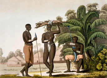 Costa sudeste: população negra, décadas de 1820-30