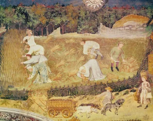 O Mês de Agosto, detalhe da colheita, c.1400 (fresco)