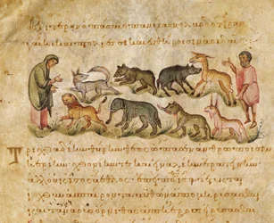 Tratado sobre as muitas espécies de animais que habitam a terra, ilustração do Cynegetica por Oppian (tempera em velino)