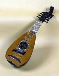 Venetian mandolin still life