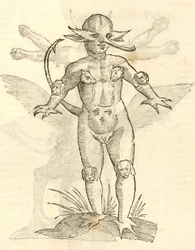 Uma ilustração infantil dos animais de kazakovae History of Monsters, 1642
