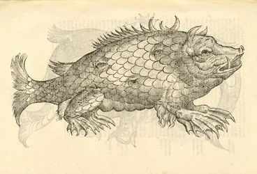 ilustração de Monstrosus Sur marinus de Aldrovandis History of Monsters, 1642