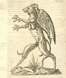 Ilustração de Monstrum alatum, & cornutum instar Cacodaemonis da História dos monstros de Aldrovandi, 1642