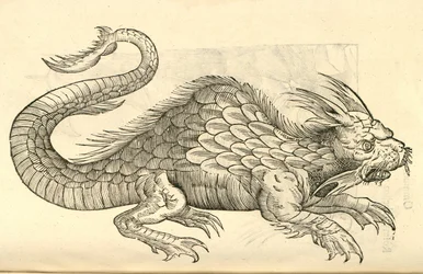 ilustração de efígies de Orobonis Piscis de Aldrovandis História dos monstros, 1642