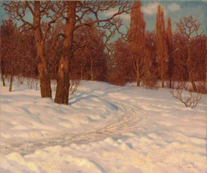 Paisagem de inverno ao entardecer