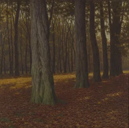 Paisagem lenhosa (óleo sobre tela)