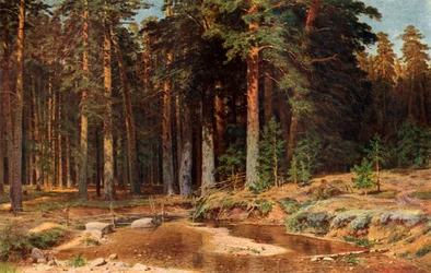 Um bosque de pinheiros, 1898, 1939.