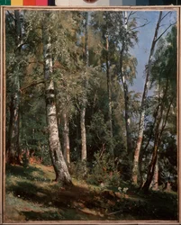 Birch grove - Pintura por Ivan Ivanovich Shishkin (Chichkin) (1832-1898), óleo sobre tela