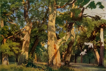 Carvalhos ao entardecer, 1887, 1965