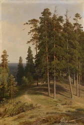 A floresta de pinheiros, 1895