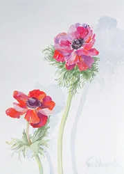 Anêmona, 1998 (wc no papel) (ver 124451)