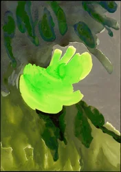Kensington Gardens Series: Leaf Cascade, 2007 (mídia mista no papel)