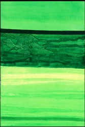 Kensington Gardens Series: Meu Mundo Verde 1
