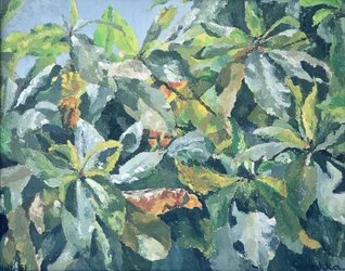Plantas, 1961