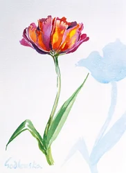 Tulip, 1998 (wc no papel) (ver também 124446 e 124448)