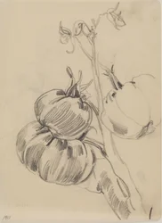 Frutas
