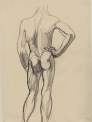 Modelo masculino, visto de costas
