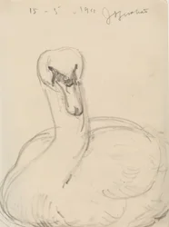 Cisne