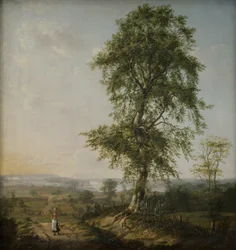 Paisagem com uma grande árvore
