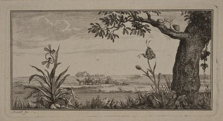 Vista de uma paisagem plana, na planta de primeiro plano com insetos e árvore com caracóis