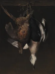 Jogo. Um faisão e um eider