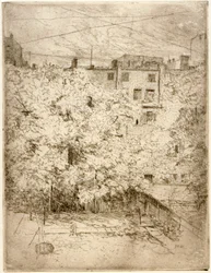 O meu quintal n.º 2