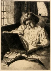 O livro ilustrado