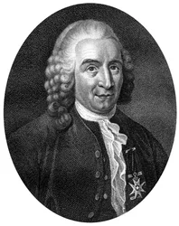 Carolus Linnaeus, botânico sueco do século XVIII, médico e zoólogo, 1812.