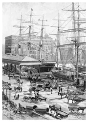 Transporte, Circular Quay, Sydney, Nova Gales do Sul, Austrália, 1886.