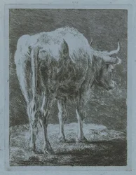 Vaca em uma paisagem