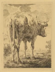 Vaca numa paisagem