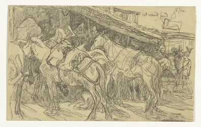 Mulas e burros na Grand Place em Tânger