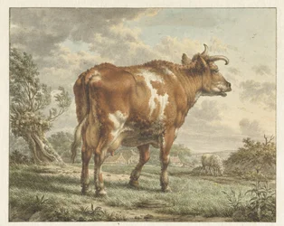 Vaca vermelha e branca em uma paisagem