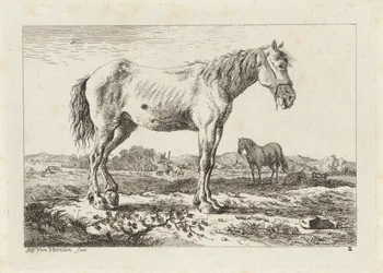 Cavalo em pé em uma paisagem Seis gravuras após desenhos de vários mestres (título da série)