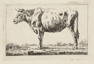 Vaca em pé, à esquerda