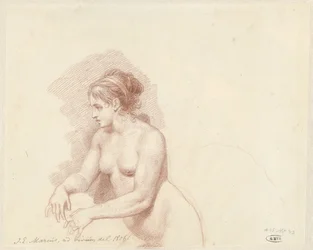 nu feminino