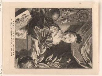 Retrato de Maria Sibylla Merian
Maria Sibilla Merian (título sobre o objecto)