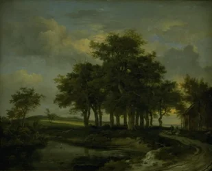 Carvalhos perto de uma estrada, noite