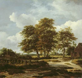Paisagem arborizada com campos de milho, c.1655-60 (óleo sobre tela)