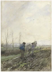 Lavrador