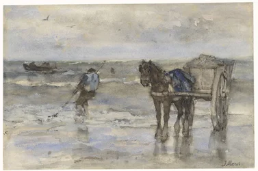 Pescador de conchas na praia