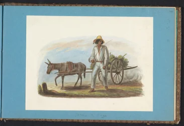 Homem com carrinho com bananas
Álbum de desenhos do Suriname, p.44 (50) (título da série)